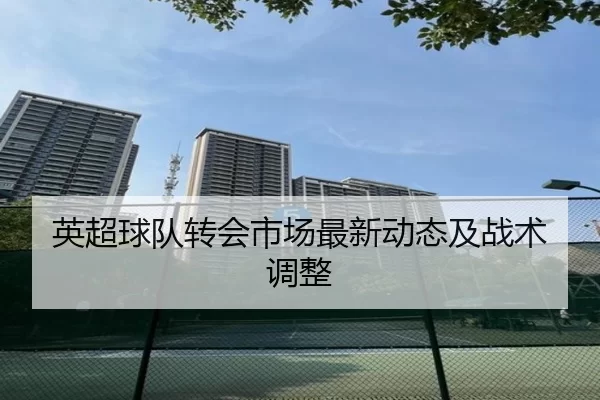 英超球队转会市场最新动态及战术调整